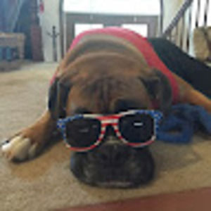 Meet your Posher, Jesse